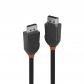 36492-cable-displayport-2-m-negro