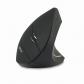 acer-hpexpbg009-raton-mano-derecha-rf-inalambrico-optico-1600-dpi