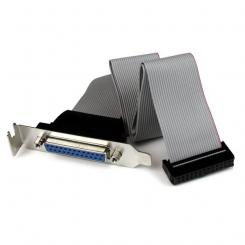StarTech.com Adaptador de 40cm Header Cabezal Bracket Paralelo Perfil Bajo DB25 a IDC26 Pines Placa Base