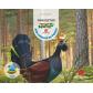 animais-en-perigo-3-anos-explora-sm