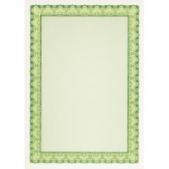 APLI Diploma Concha Verde Esmeralda 115G.70H