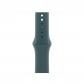 apple-mxla3zm-aes-accesorios-para-dispositivos-vestibles-inteligentes-grupo-de-rock-verde-fluoroelastomero