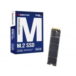 Biostar M760 256 GB M.2 PCI Express 4.0 NVMe