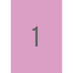 Blister Etiquetas APLI Rosa Pastel 210 X  297 20H