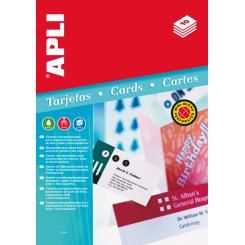 Blister Etiquetas APLI Tarjeta Convencion 200 G.10H
