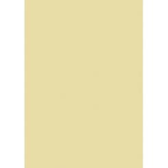 Blister Papel APLI Color Crema 120G.10H