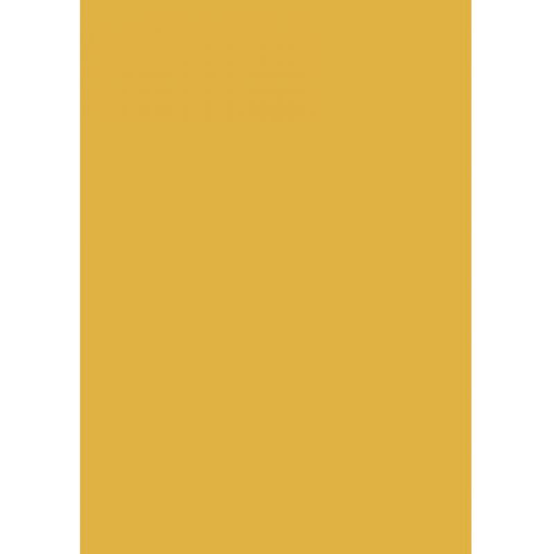 blister-papel-apli-color-naranja-120g10h