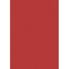 Blister Papel APLI Color Rojo 120G.10H