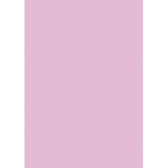 Blister Papel APLI Color Rosa  120G.10H