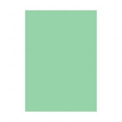 Blister Papel APLI Color Verde Jade  120G.10H