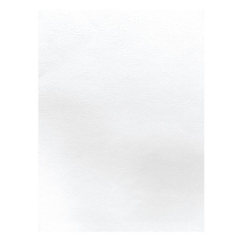 Blister Papel APLI Navidad Nieve  90G.12H