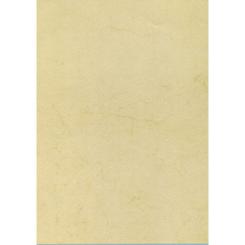Blister Papel APLI Textura Habana  200G.10H