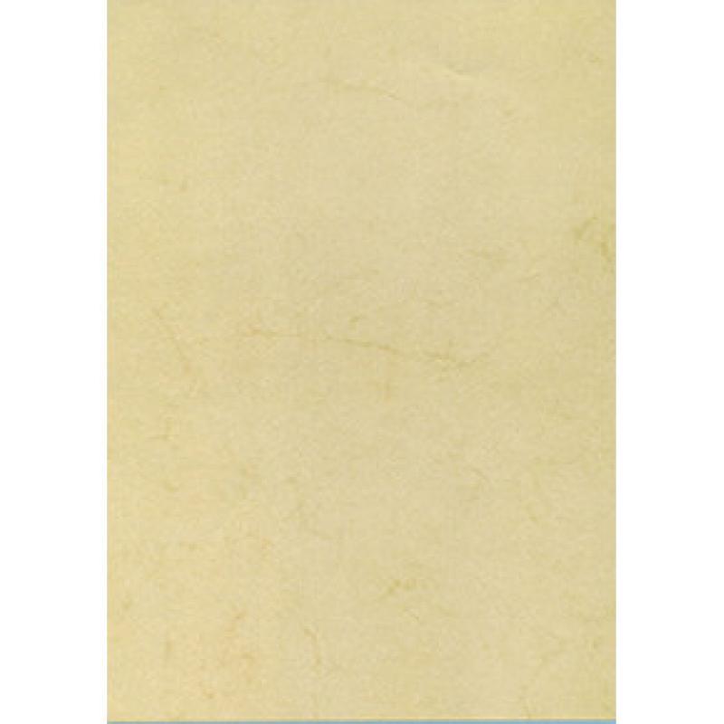 blister-papel-apli-textura-habana-200g10h