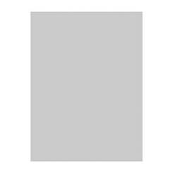 Blister Papel APLI Vegetal 100G. 20H.