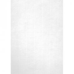 Blister Papel APLI Verjurado Blanco  220G.20H