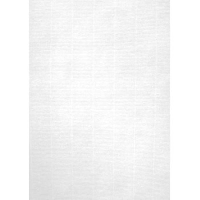 blister-papel-apli-verjurado-blanco-220g20h