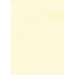 Blister Papel APLI Verjurado Crema 220G.20H