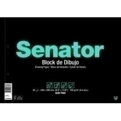 Bloc Dibujo Senator Fº Prol.20H Rec.2T