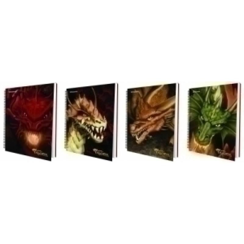 bloc-folio-tapa-dura-cuadricula-4x4-80-hojas-63-grs-dragones-con-stickers