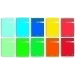 Block Pacsa Plastipac Micro.Tapa Pp A4 100H Cuadric.5X5 90G 5 Col. Banda Surtido (10 Col.)