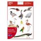 bolsa-apli-gomets-aves-rem-12h