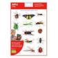 Bolsa APLI Gomets Insectos Rem 2H