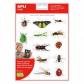 bolsa-apli-gomets-insectos-rem-2h