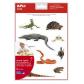 bolsa-apli-gomets-reptiles-y-anfibios-rem-12h