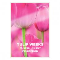 Bolsas plastificación LEITZ DIN A4 (caja 100) 125 micras