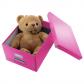 caja-de-archivo-universal-click-&-store-mediana-281x200x369-mm-fucsia