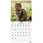 calendario-2026-finocam-internacional-pared-imagenes-mensual-para-escribir-180x180-cats