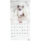 calendario-2026-finocam-pared-imagenes-mensual-para-escribir-300x300-gatitos