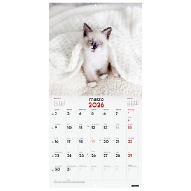 calendario-2026-finocam-pared-imagenes-mensual-para-escribir-300x300-gatitos