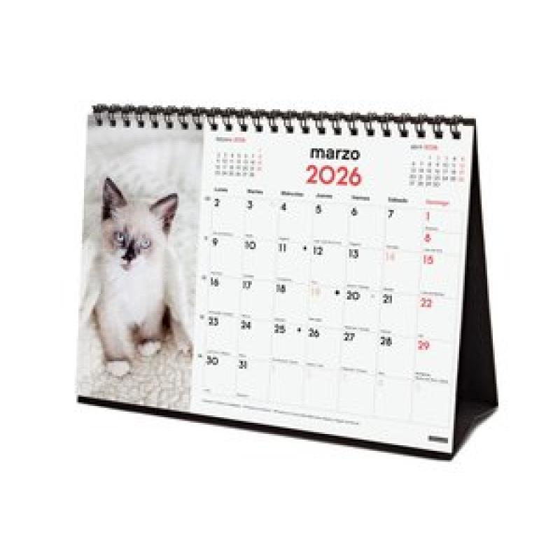 calendario-2026-finocam-sobremesa-imagenes-mensual-para-escribir-s-210x150-gatitos