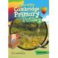 cambridge-primary-path-level-2-flashcards-cambridge