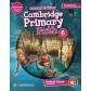 cambridge-primary-path-level-6-students-book-with-my-creative-journal-cue-card-cambridge