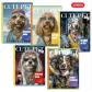 campus-university-libreta-cosida-cute-pet-perros-rayado-horizontal-190x248mm