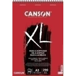 Canson Block De Dibujo Guarro-Canson Xl Oleo&Acrilico (Espiral) 290G A3 30H