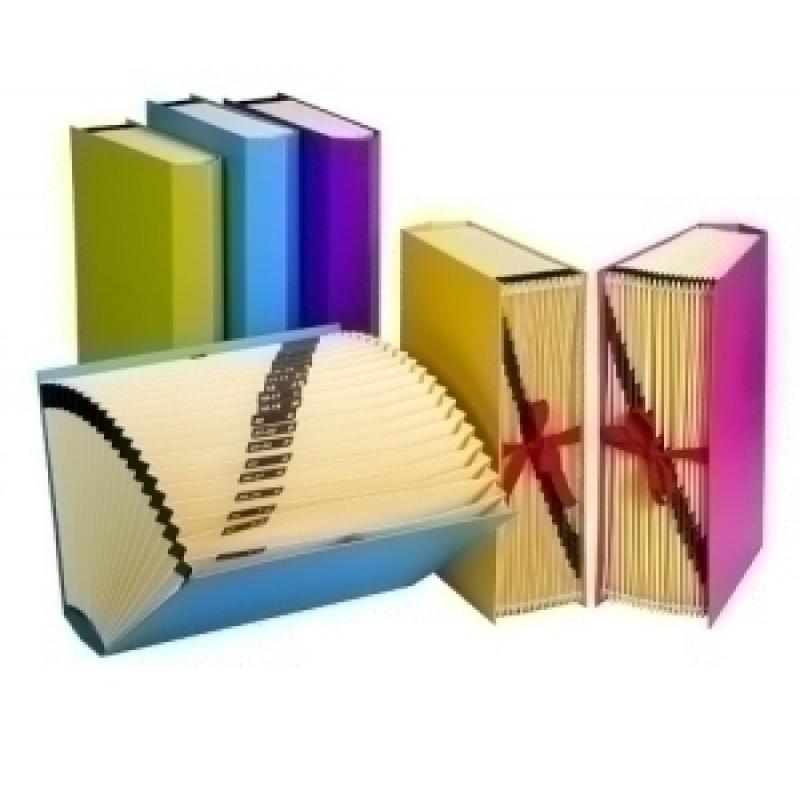 carchivo-clasificador-acordeon-carchivo-carton-forrfashion-fº-20-dptosa-z-fucsia