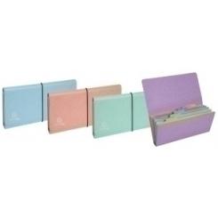 Carp.Clasif.EXACOMPTA Cart.24X11 8 Dp.Su