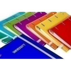 Carpebloc University Carton Forrado A4 4 An.Mixtas 25Mm Con Rec. 120 Hj. Cuadric.5X5 Surtido (8 Col.)