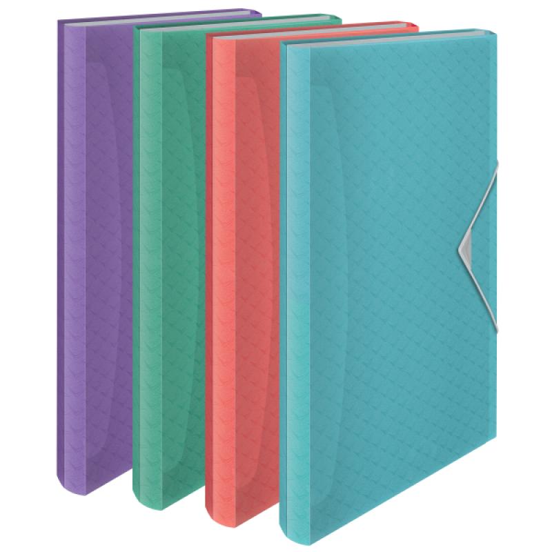 carpeta-acordeon-esselte-colourbreeze-pp-con-6-separadores-surtidos