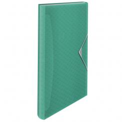 Carpeta acordeón ESSELTE ColourBreeze PP. Con 6 separadores, verde