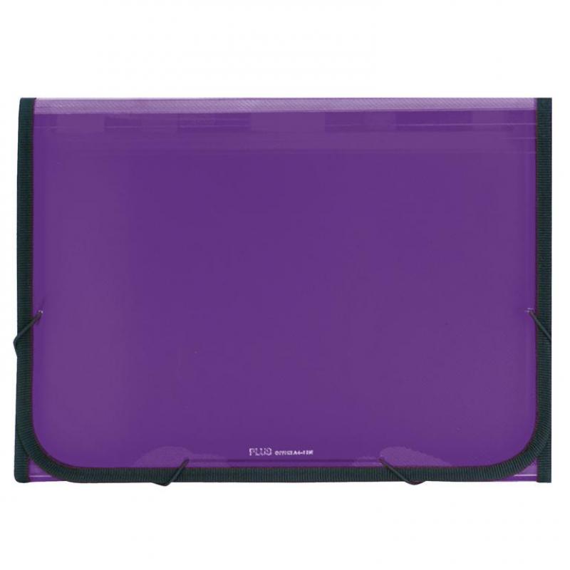 carpeta-clasificadora-plus-pp-goma-12-departamentos-traslucida-violeta