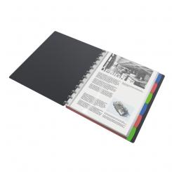 Carpeta de fundas extraíbles ESSELTE Vivida. PP. Tapas rígidas. 25 fundas. DIN A4, surtidos