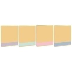 Carpeta Mariol.Kraft Fº 4 An.40 Exp.12