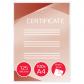 carteras-gbc-din-a4-autoadhesiva-216x303-2x125-mic-caja-100