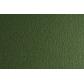 cartulina-50x70-cm-fabriano-220g-liso-rugoso-verdone-paquete-de-20