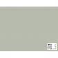 cartulina-apli-170g-50x65-25h-gris