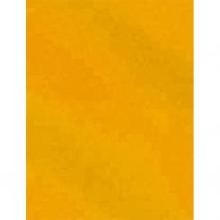 Cartulina Campus 50X65 Metal Oro